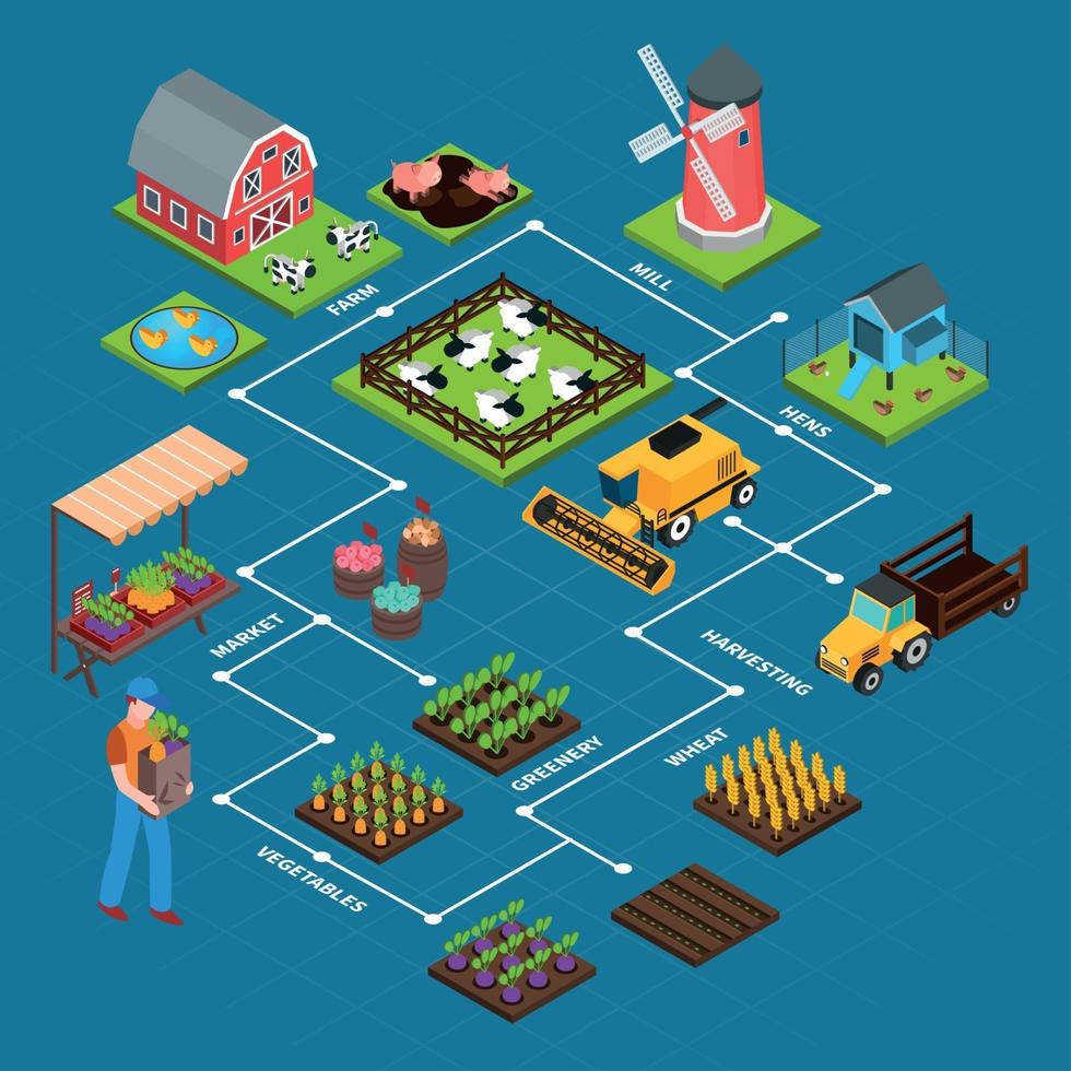 Ilustración de vector de diagrama de flujo isométrico de granja