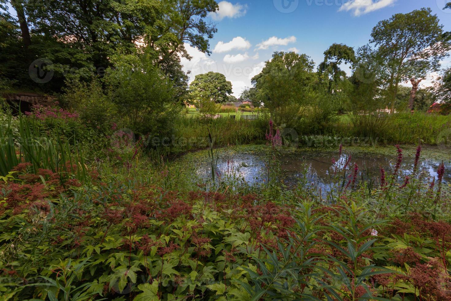 Estanque de agua con una exuberante vegetación en Heaton Park, Manchester foto