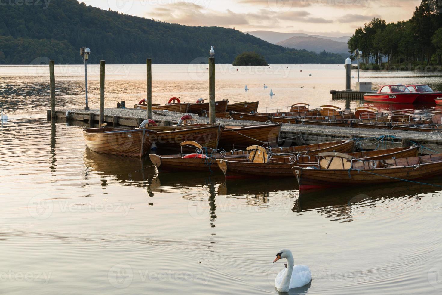 Escena romántica del atardecer de un hermoso cisne y barcos amarrados en un muelle en el lago Windermere foto