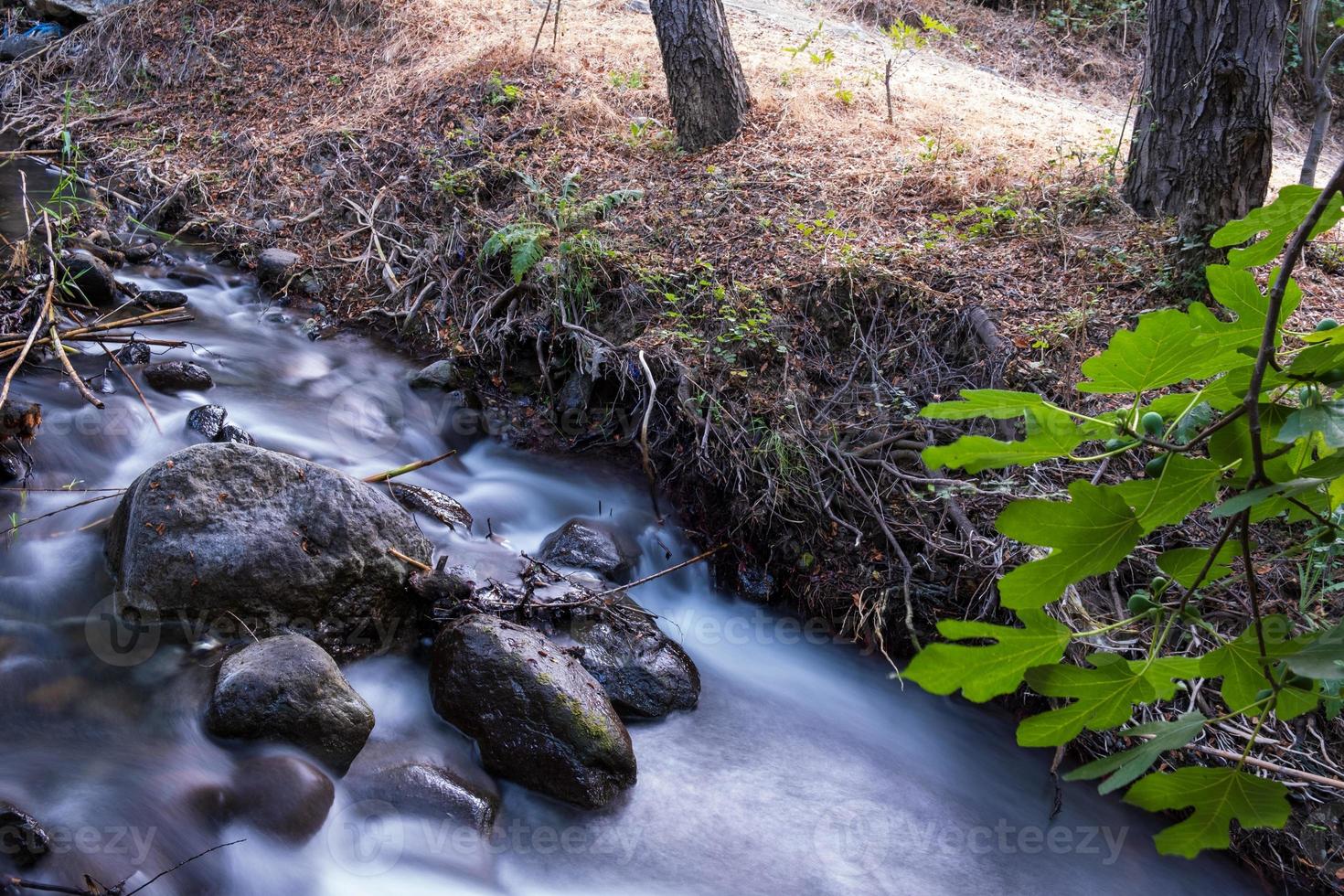 Corriente de agua pura con flujo suave sobre terreno montañoso rocoso en el bosque de Kakopetria en Troodos Chipre foto