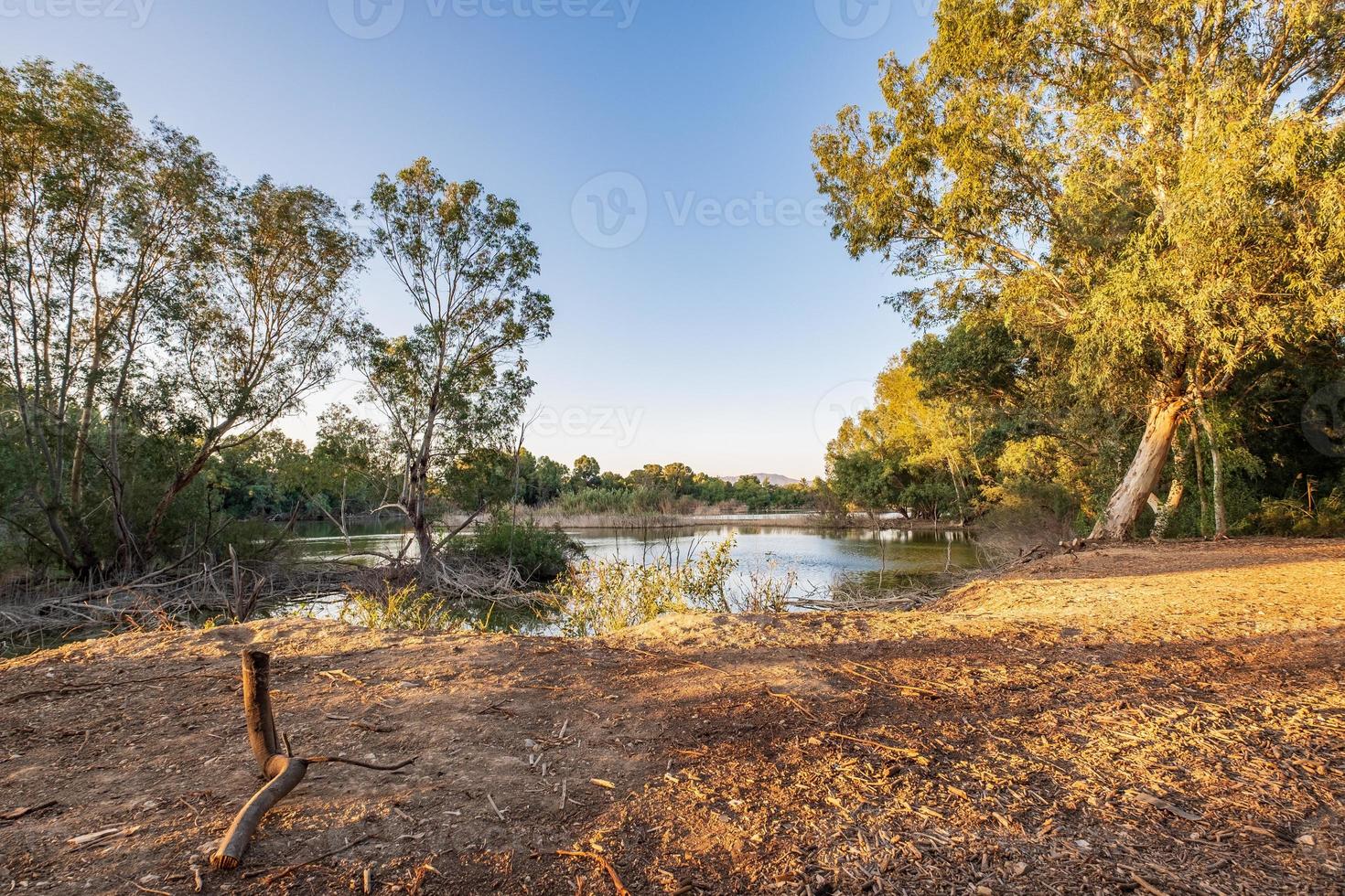 Athalassa Lake Cyprus with beautifully lit water and trees on a beautiful sunny afternoon photo