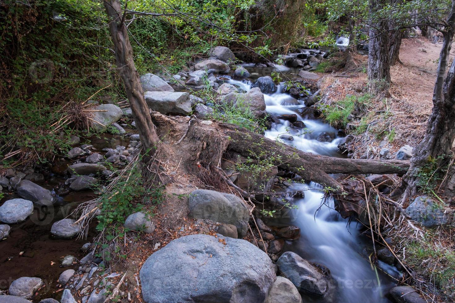Corriente de agua pura que fluye sobre terrenos montañosos rocosos en el bosque de Kakopetria en Troodos, Chipre foto