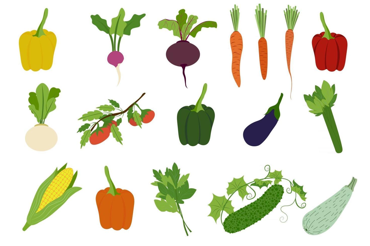 Vegetables Simple Set Bell Pepper Radish Beetroot Carrot Turnip Tomato Eggplant Celery Corn Lettuce Cucumber vector