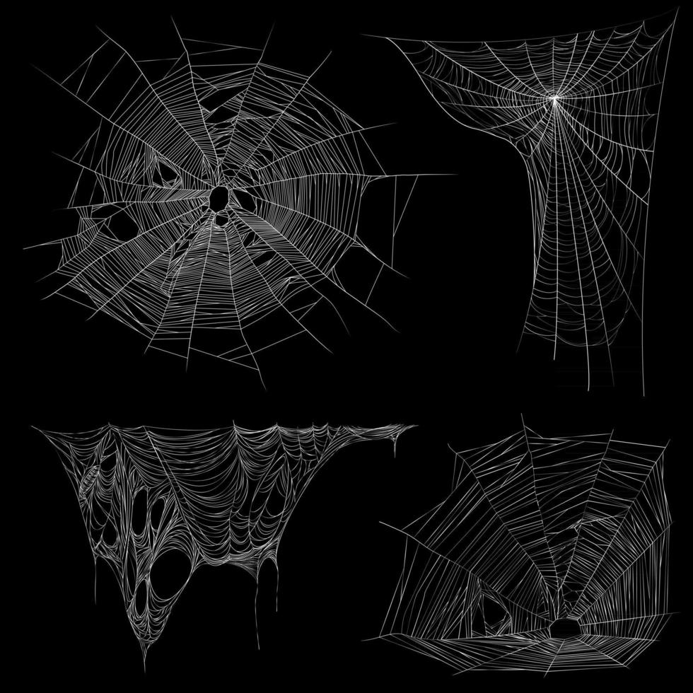 Realistic Spider Web Cobweb Set Vector Illustration