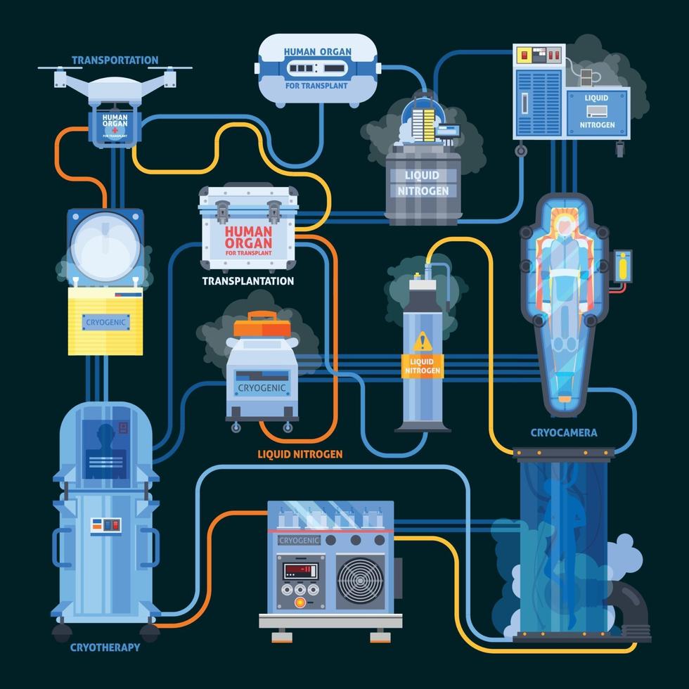 Cryonics Transplantation Flat Flowchart Vector Illustration