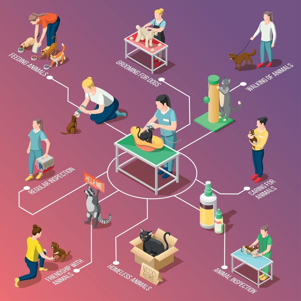 Ilustración de vector de diagrama de flujo isométrico de voluntarios de cuidado de animales