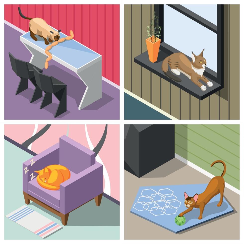 Purebred Cats Isometric Design Concept Vector Illustration