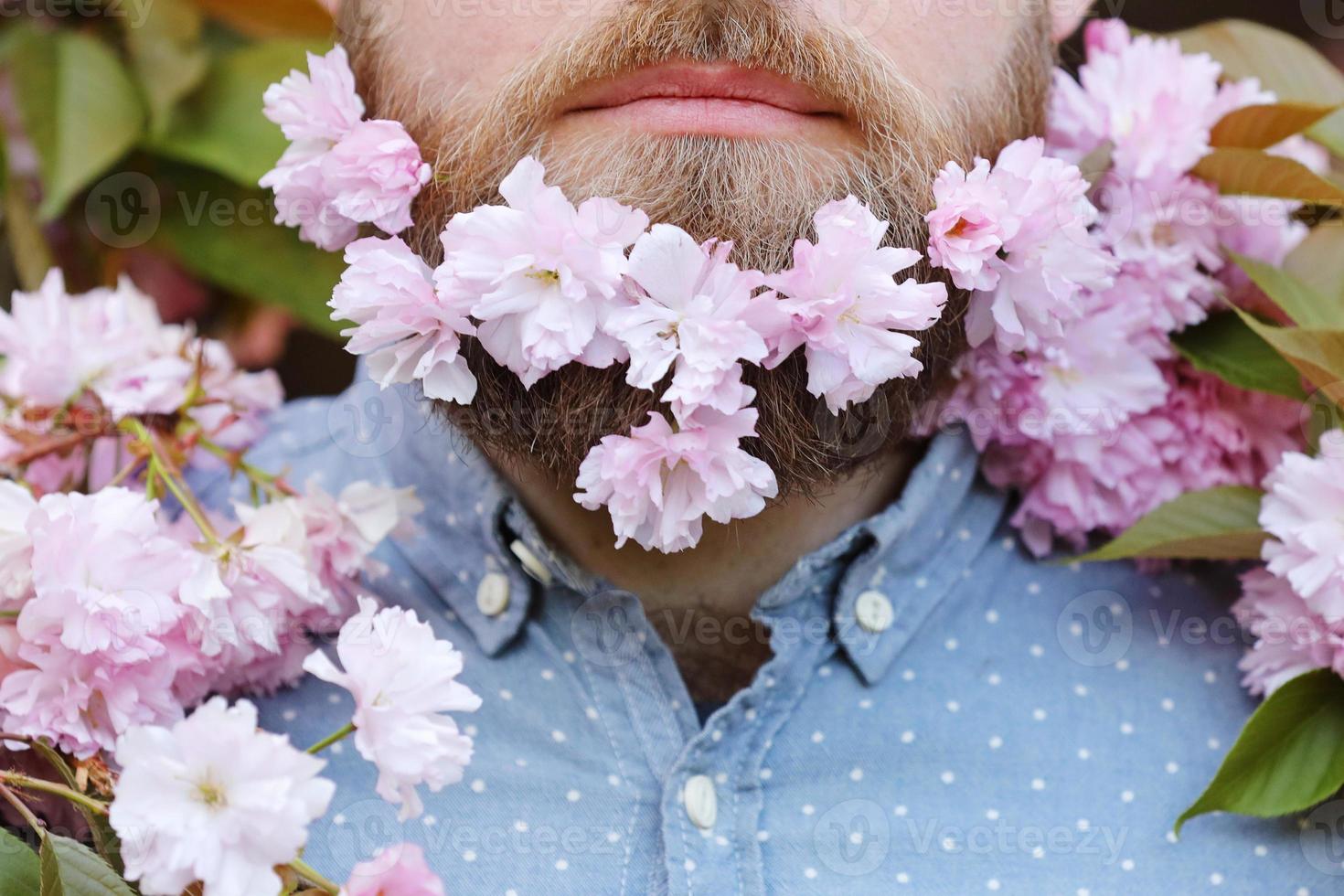 La cara de un hombre barbudo asoma entre la flor de sakura foto