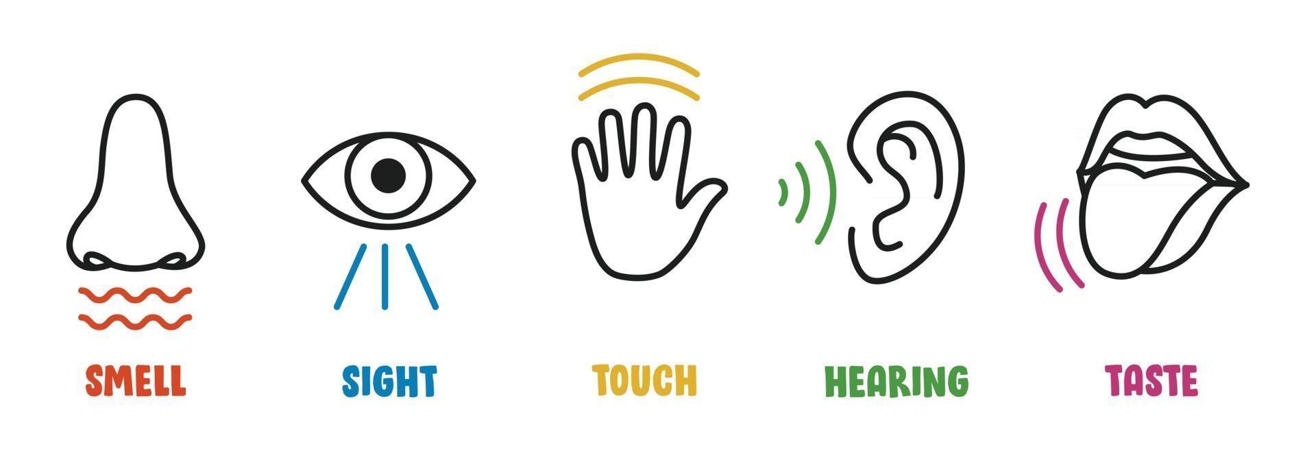 Five Senses Concept With Human Organs vector