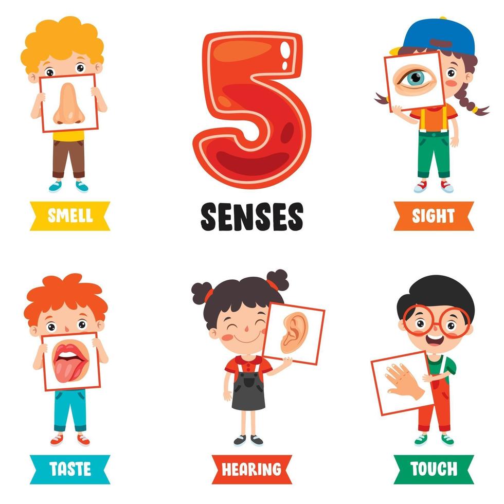 Five Senses Concept With Human Organs vector