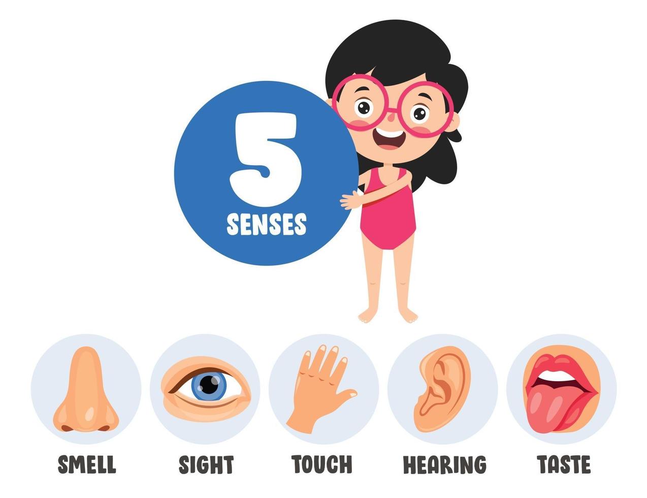 Five Senses Concept With Human Organs vector