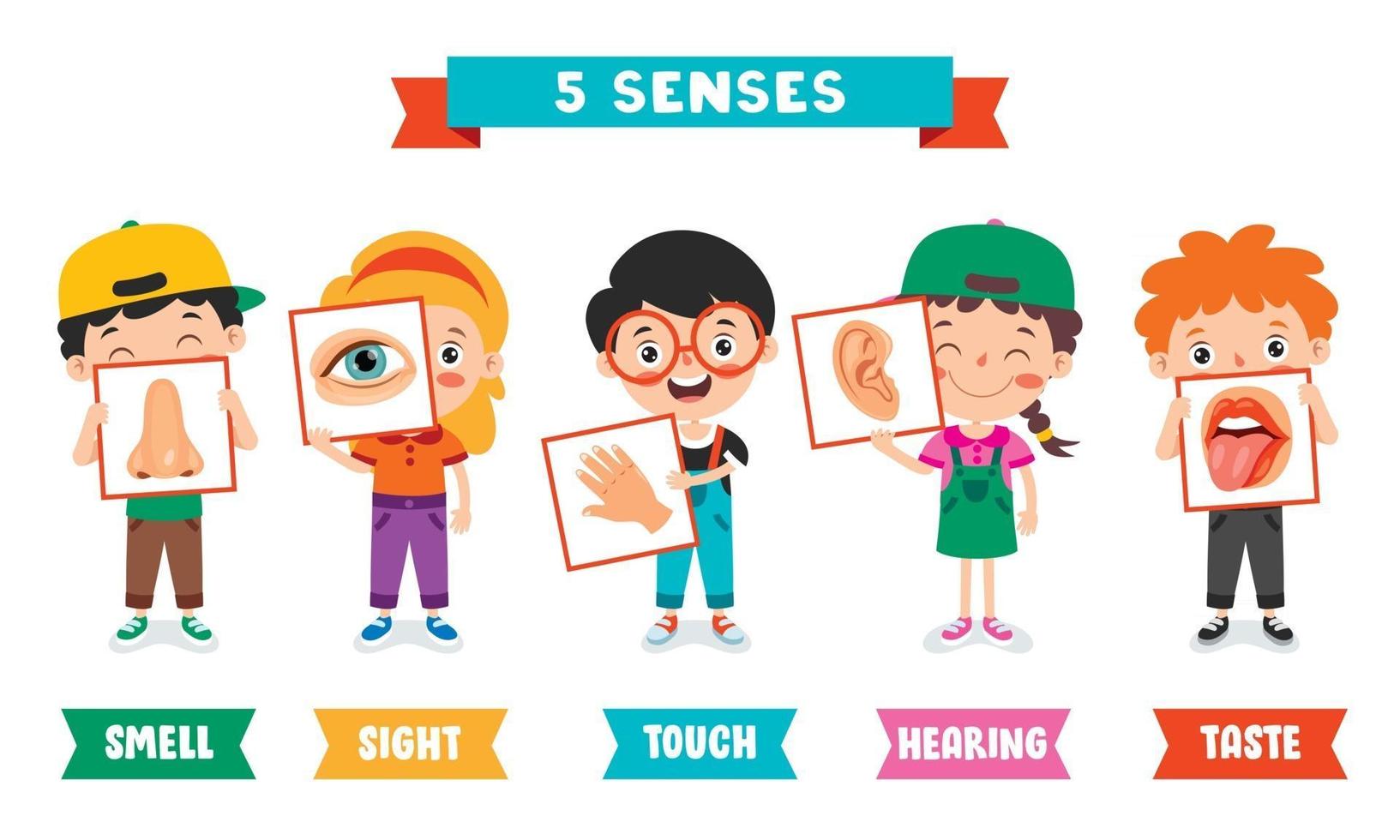 Five Senses Concept With Human Organs vector