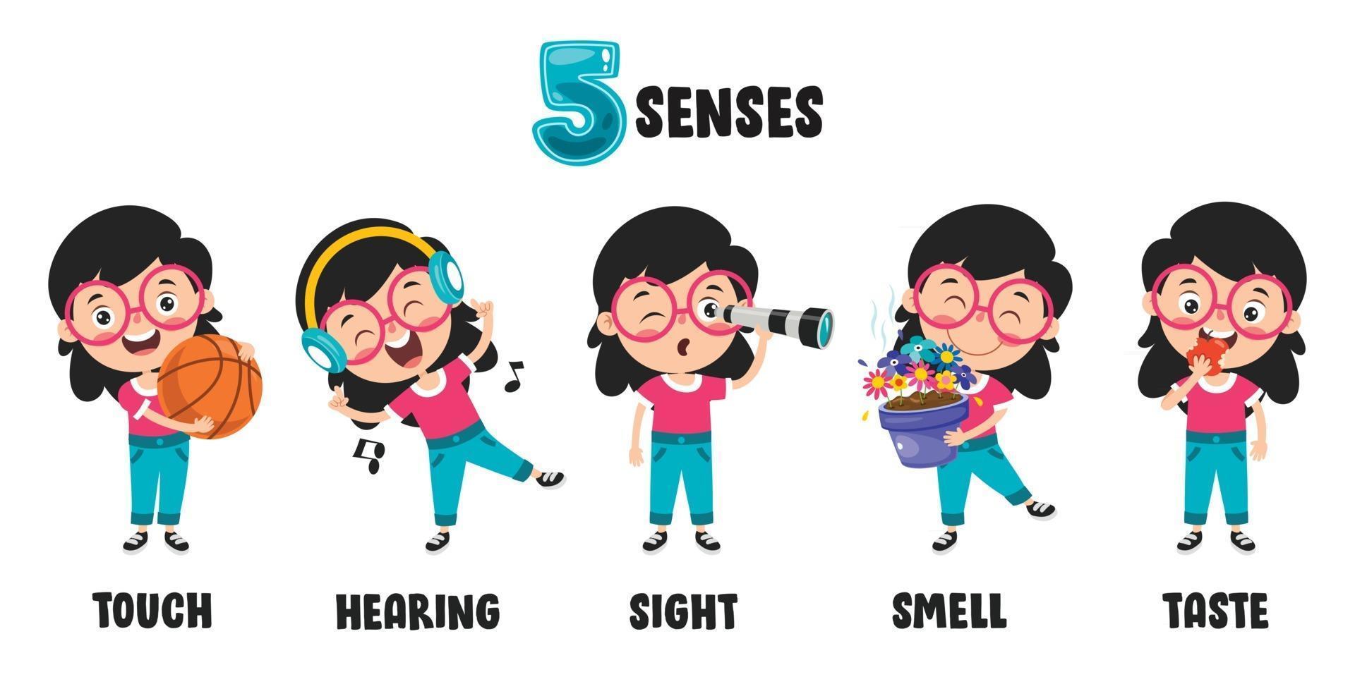 Five Senses Concept With Human Organs vector