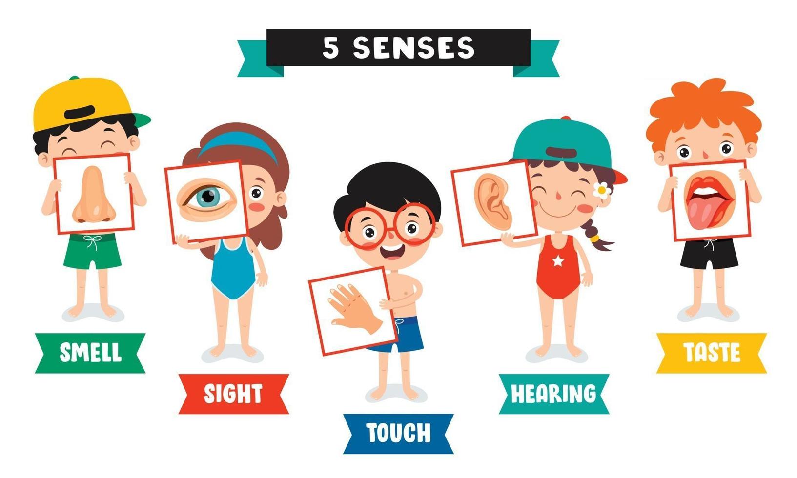 Five Senses Concept With Human Organs vector