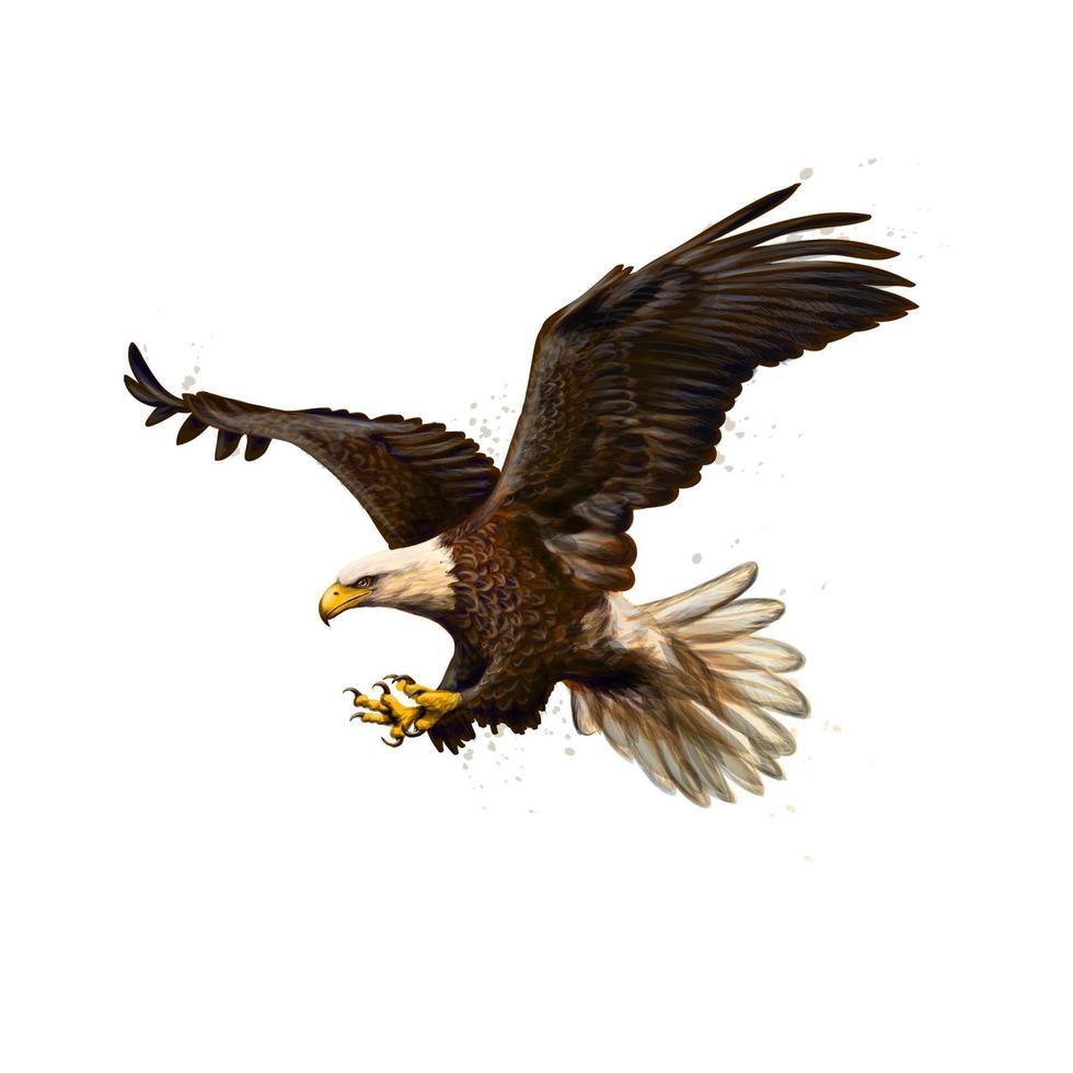 Portrait of a bald eagle from a splash of watercolor hand drawn sketch Vector illustration of paints