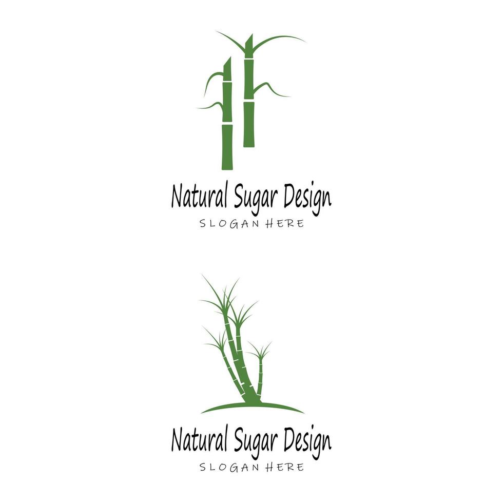 Sugar cane Logo Template vector symbol nature