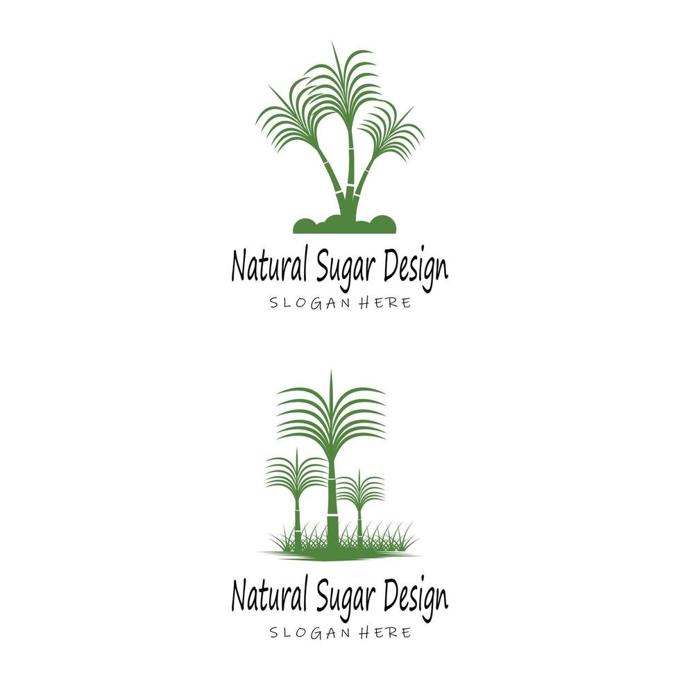 caña de azúcar, logotipo, plantilla, vector, símbolo, naturaleza vector