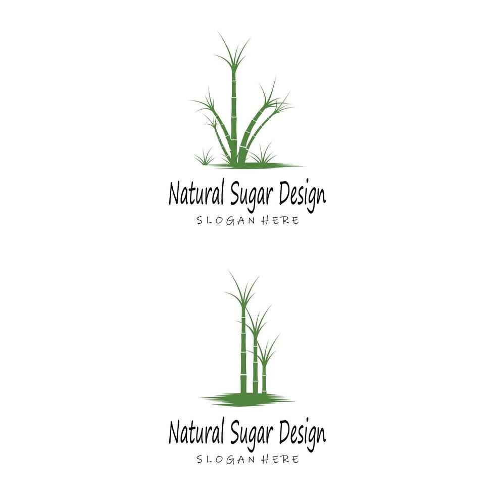 Sugar cane Logo Template vector symbol nature