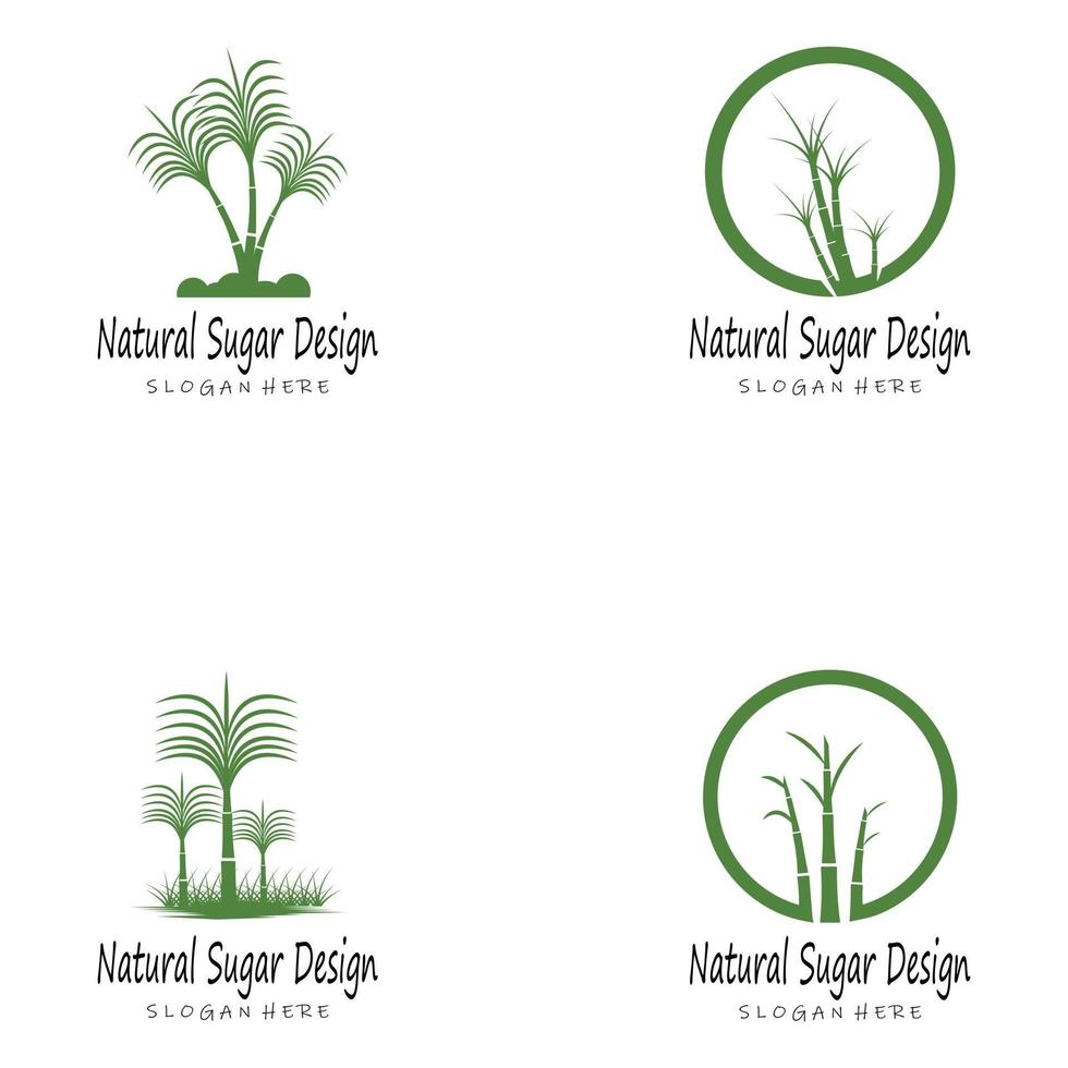 Sugar cane Logo Template vector symbol nature