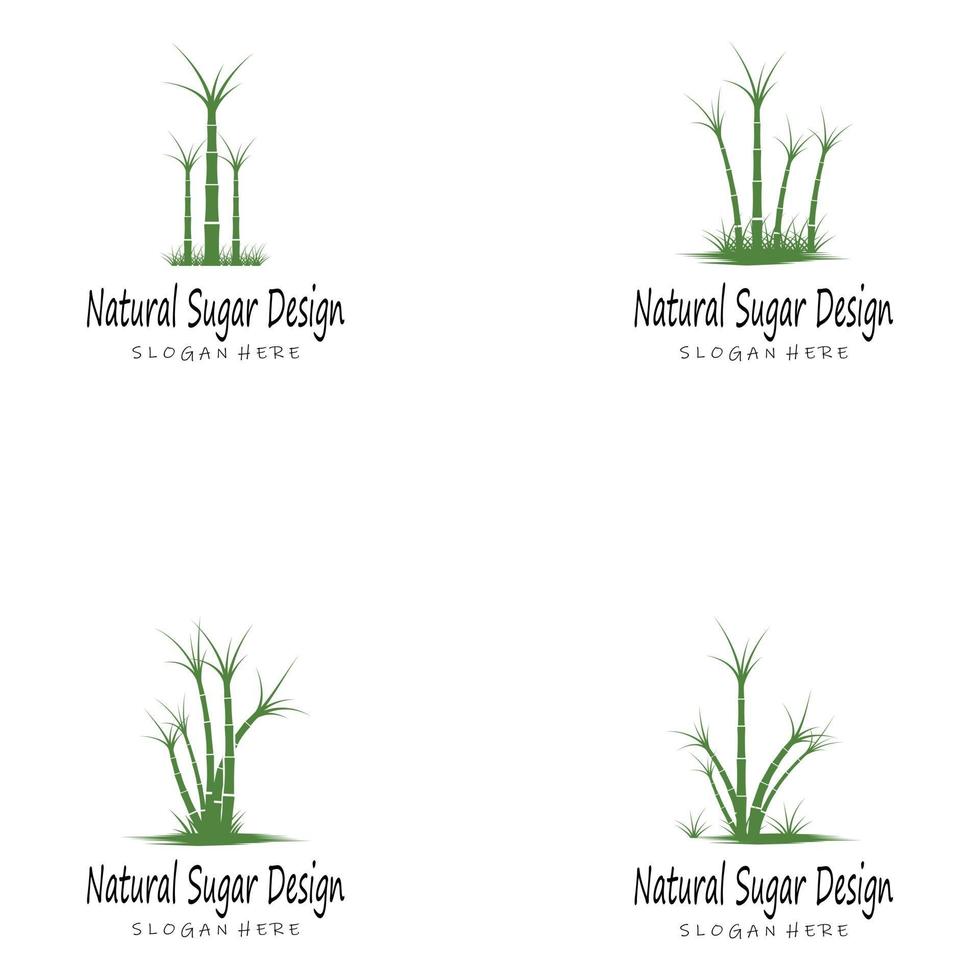 Sugar cane Logo Template vector symbol nature