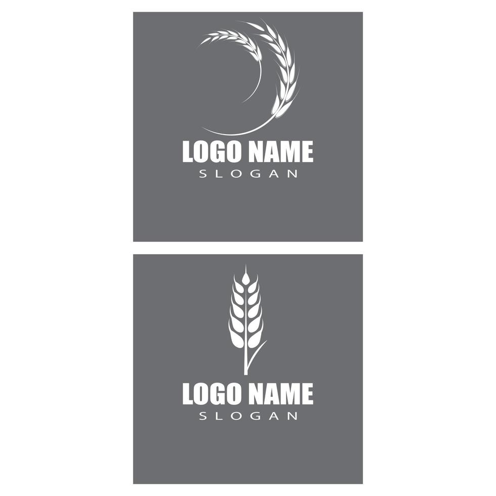 Agriculture wheat vector icon design