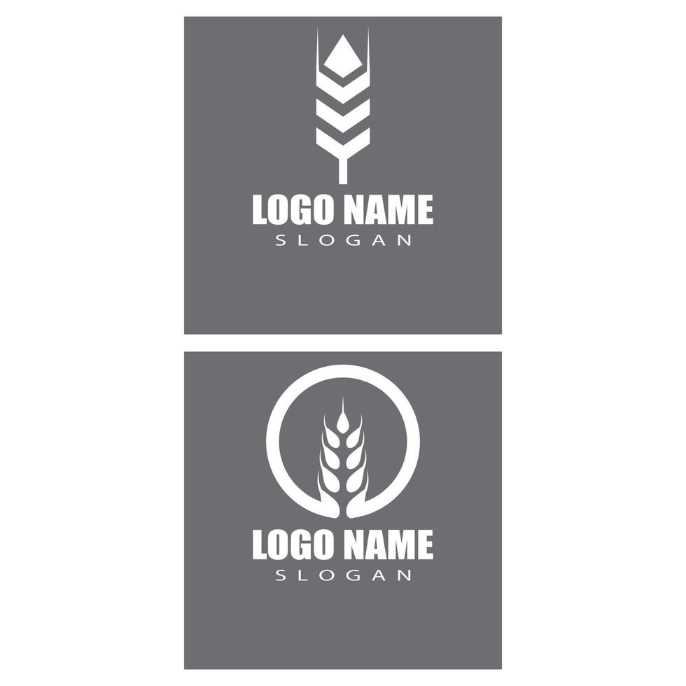 Agriculture wheat vector icon design