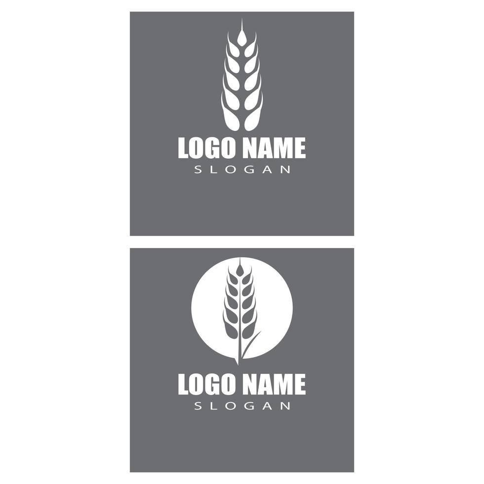 Agriculture wheat vector icon design