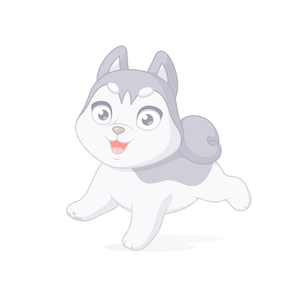 Feliz cachorro husky corriendo ilustración vectorial de dibujos animados aislado sobre fondo blanco. vector