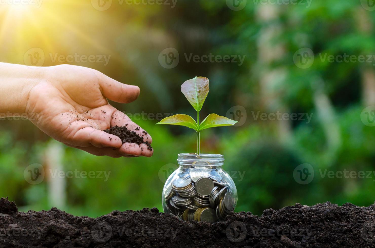 hand Put money Bottle Banknotes tree Image of bank note with plant growing on top for business green natural background money saving and investment financial concept photo