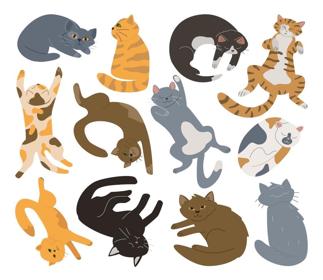 paquete de gatos dibujados a mano doodle vector