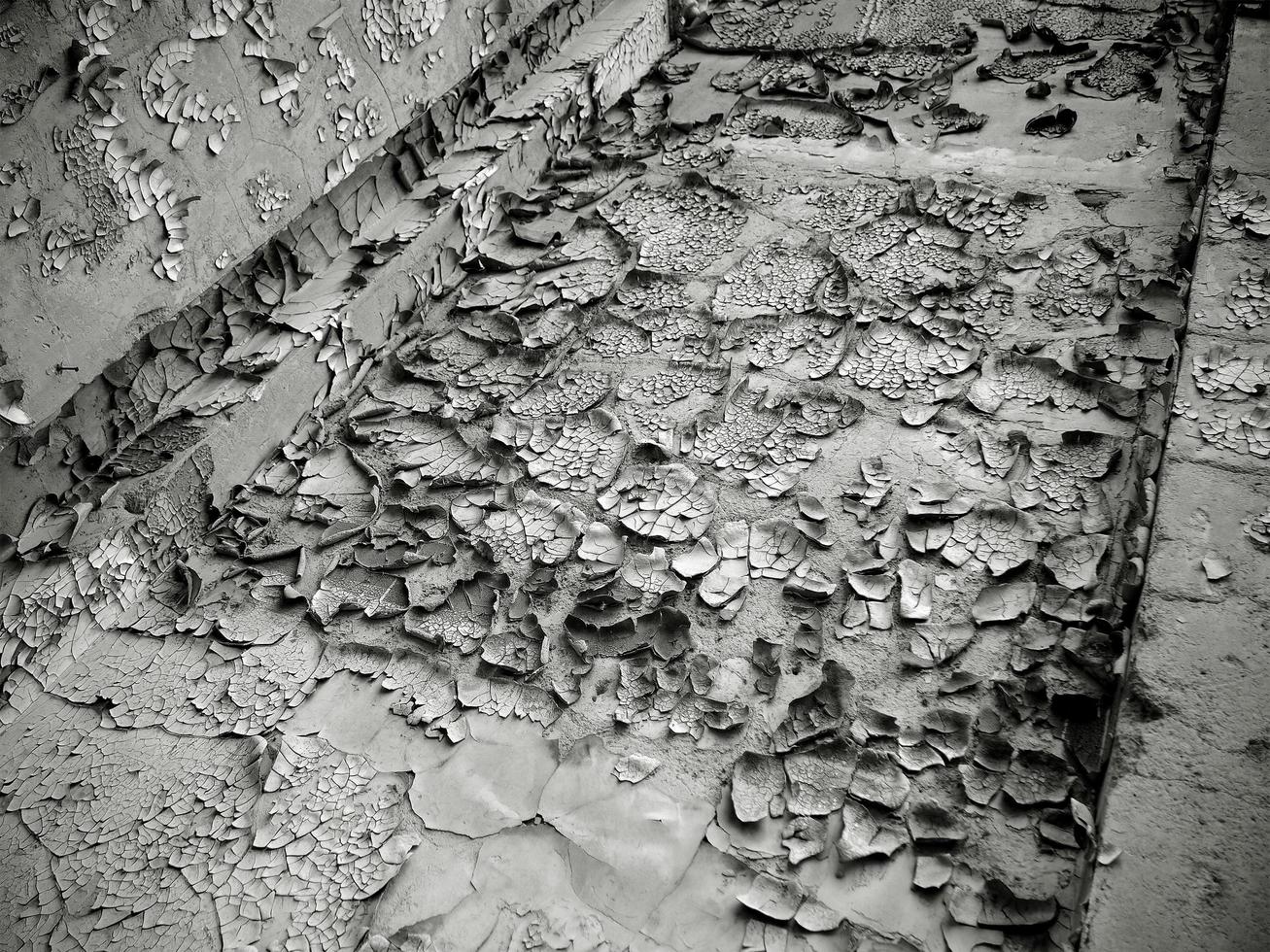 Black and white image of an old damaged wall with cracks on the paint photo