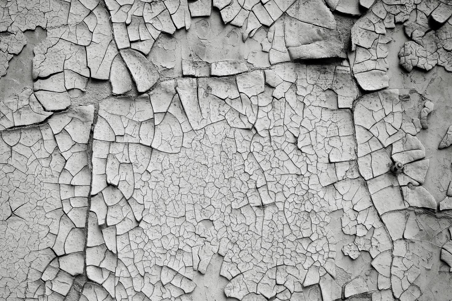 Black and white image of an old damaged wall with cracks on the paint photo