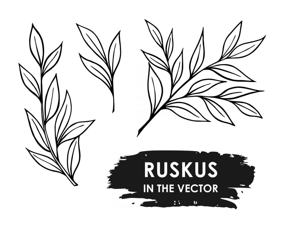TWIGS ON A WHITE BACKGROUND vector