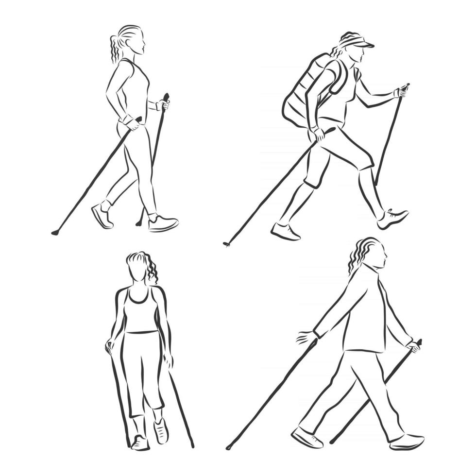 Continuous line drawing A young woman walks on foot with walking sticks Nordic walking vector sketch illustration