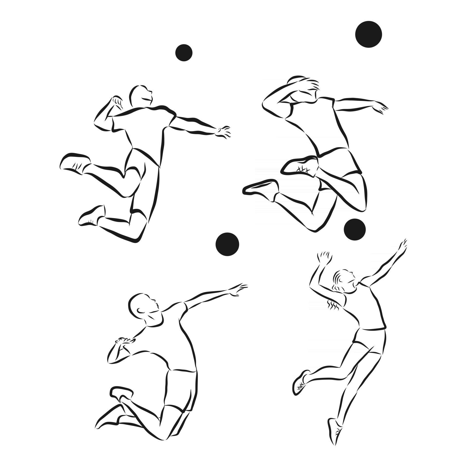 Drawing of sport element Vector volleyball player volleyball vector ...