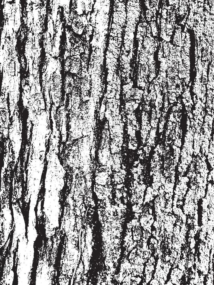 Grunge tree bark texture vector