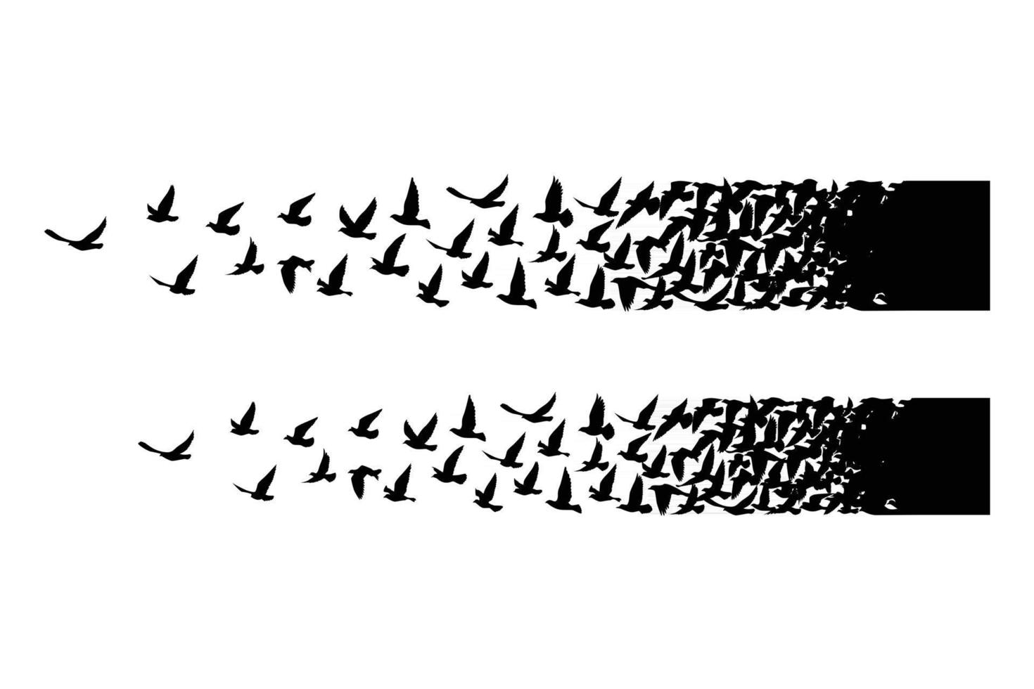 siluetas de aves voladoras sobre fondo blanco ilustración vectorial diseño de tatuaje de pájaro aislado volando vector