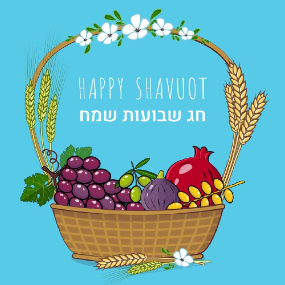 Cesta de frutas y cultivos tradicionales vacaciones judías shavuot concepto y texto en hebreo happy shavuot vector