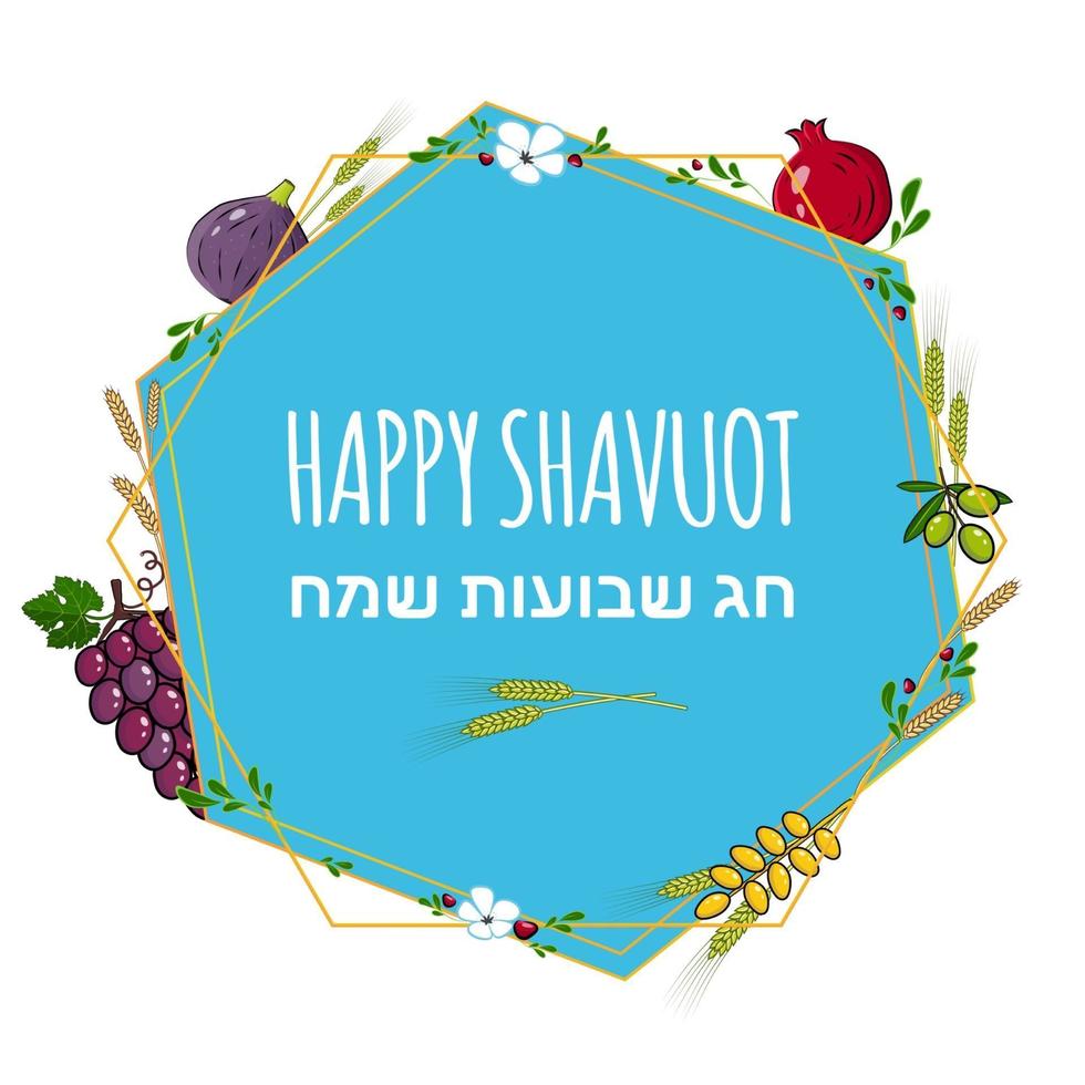 feliz concepto de vacaciones de shavuot con frutas y cultivos tradicionales y texto en hebreo happy shavuot vector