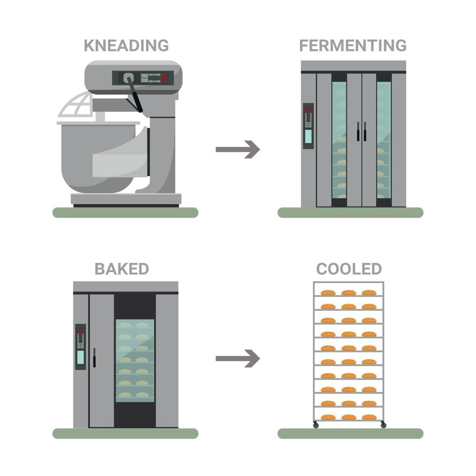 Bread processing process flow Bakery machinery vector