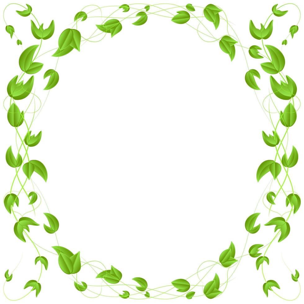 circle of green leaves on a branch border isolated on white background ...