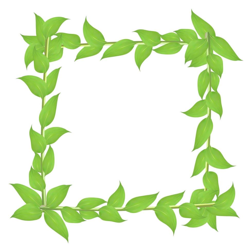 Deciduous frame with stems and green leaves isolated on white background vector