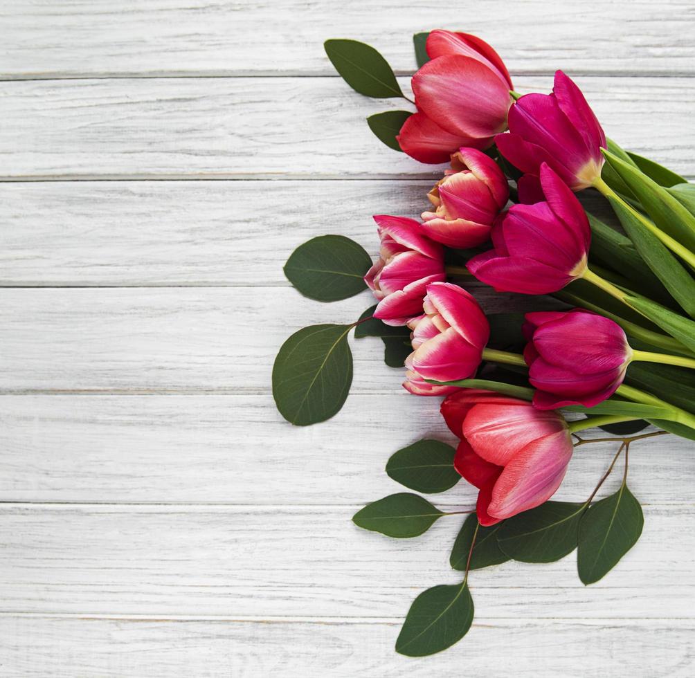 Beautiful tulips bouquet photo