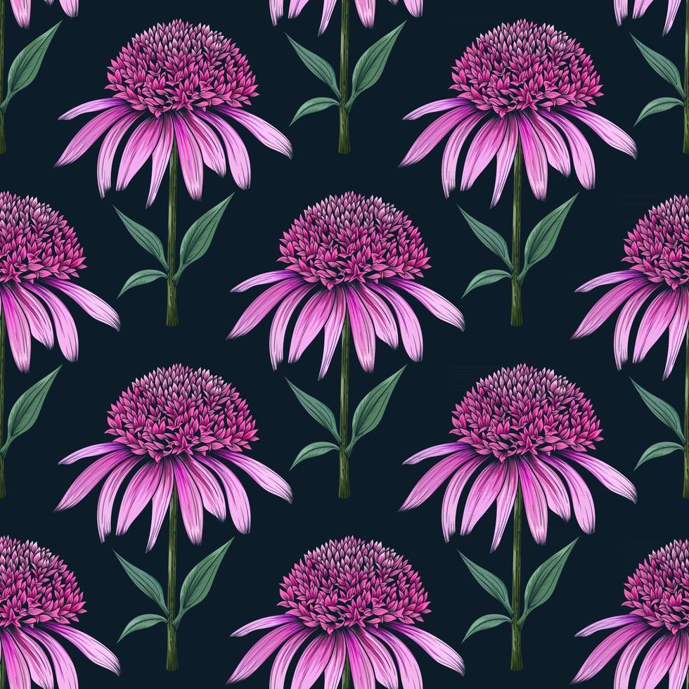 Hand drawn botanical seamless floral pattern with coneflower stamp vector