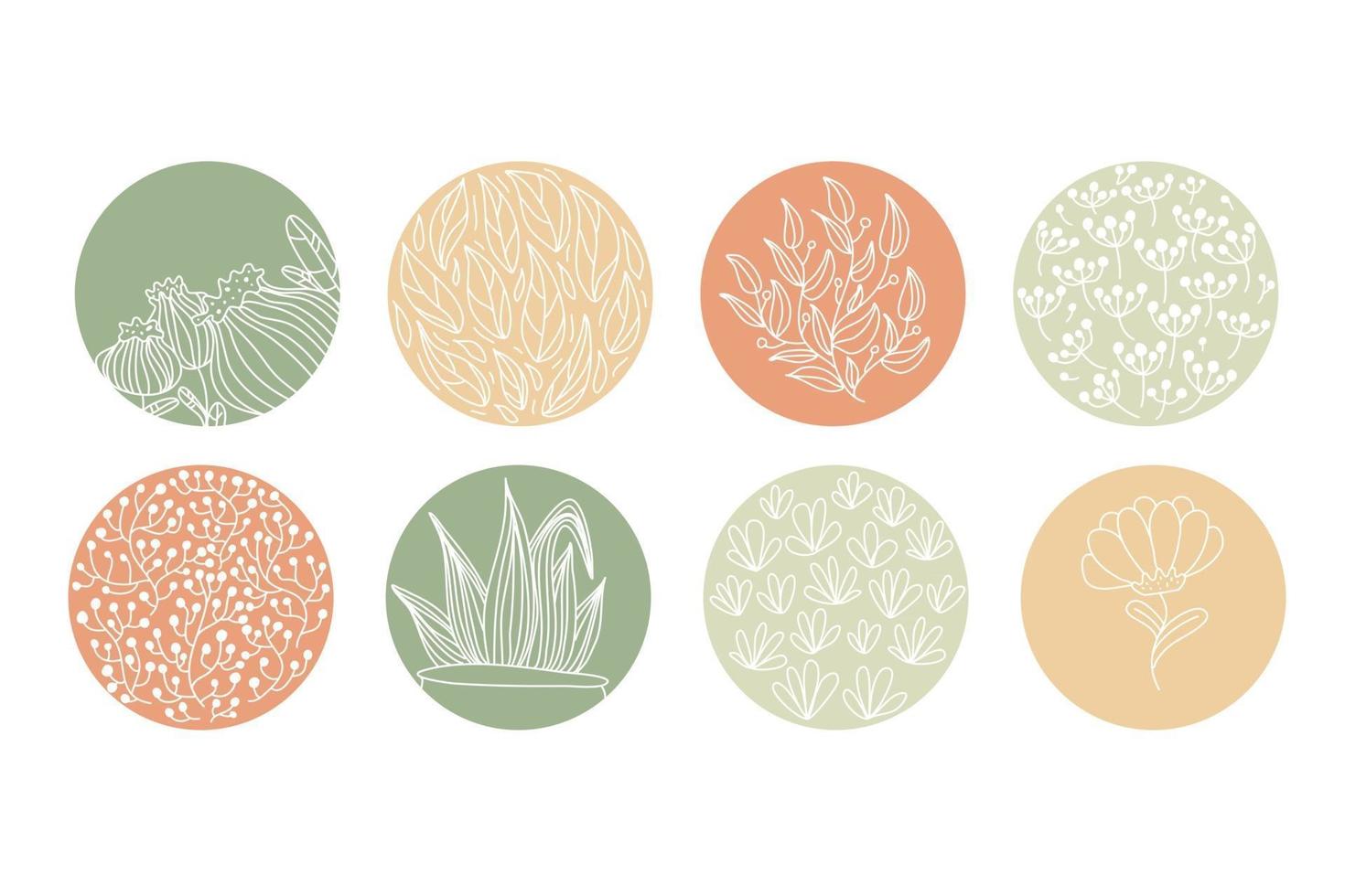 resaltar la portada establecer iconos botánicos florales abstractos para redes sociales y un conjunto de vector