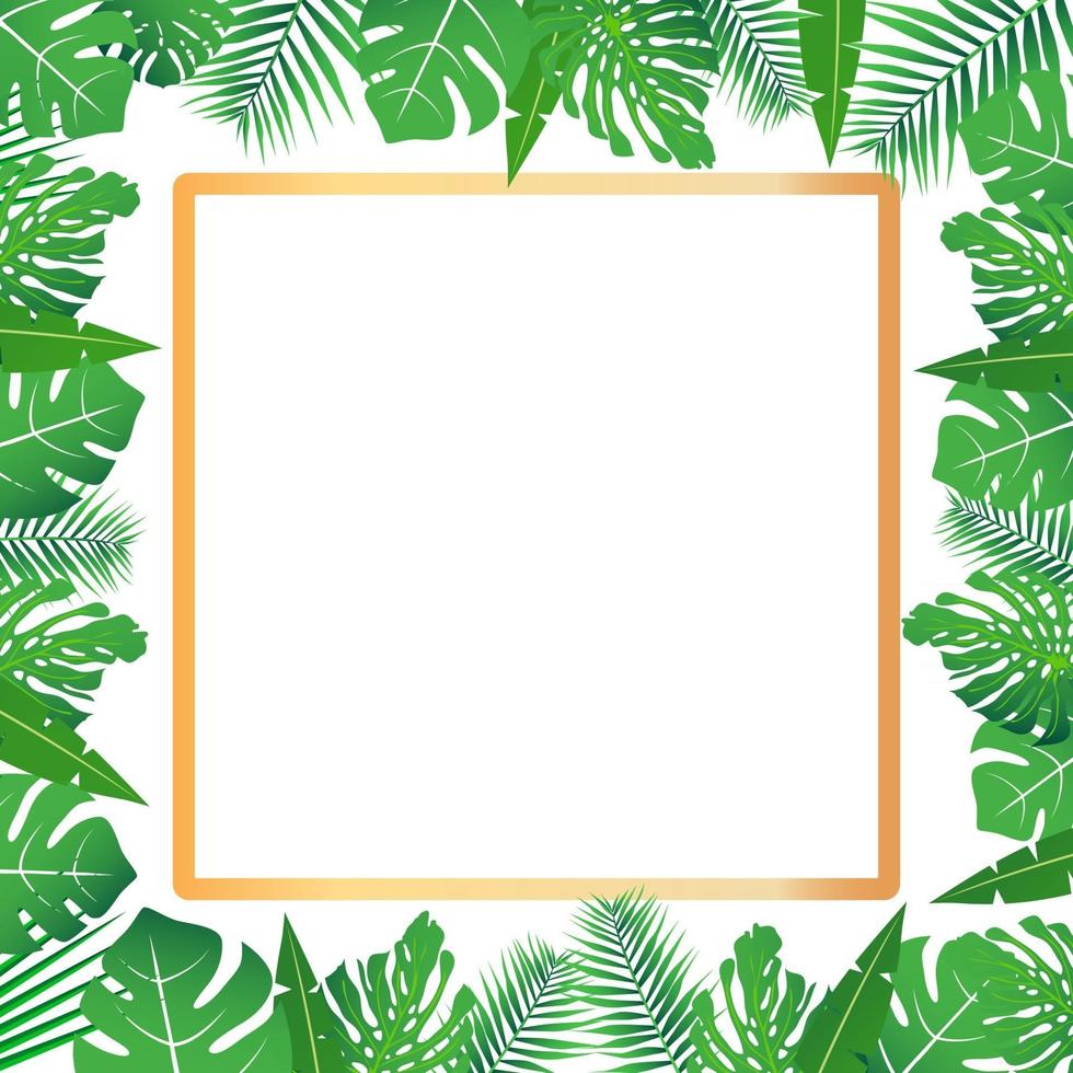 hojas tropicales alrededor de un espacio de copia de marco de rectángulo  blanco fondo abstracto brillante para pancarta o portada con espacio de  copia para texto o emblema 2400558 Vector en Vecteezy