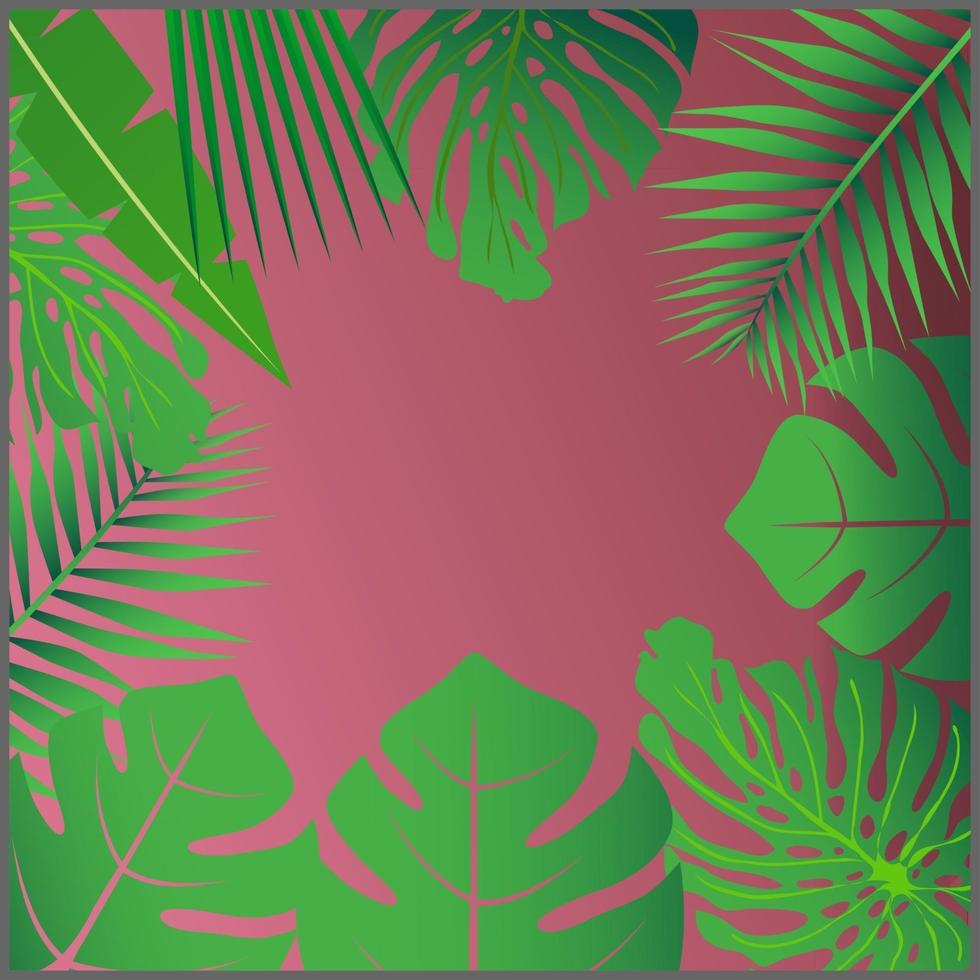 Tropical leaves around a empty space Elegant backdrop decorated with foliage of exotic jungle plants Natural frame or border vector