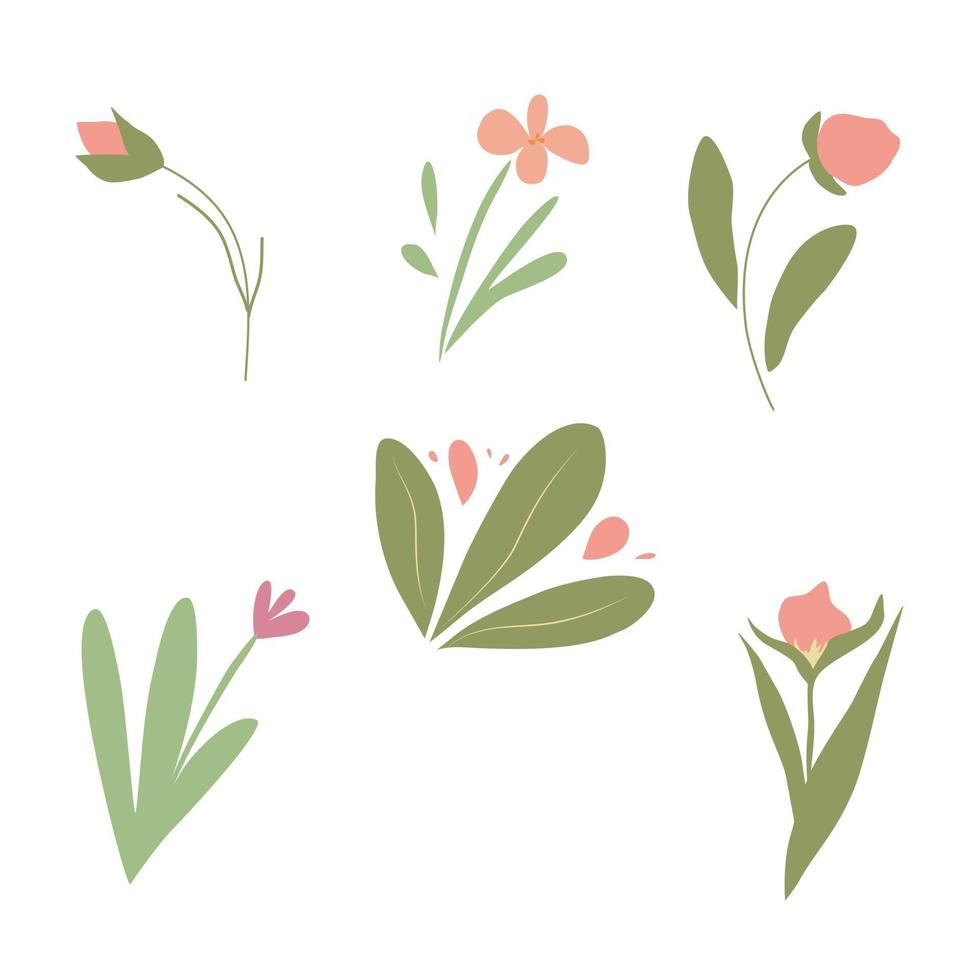 Vector set of spring flowers Vector illustration Graphic design element  Isolated white background