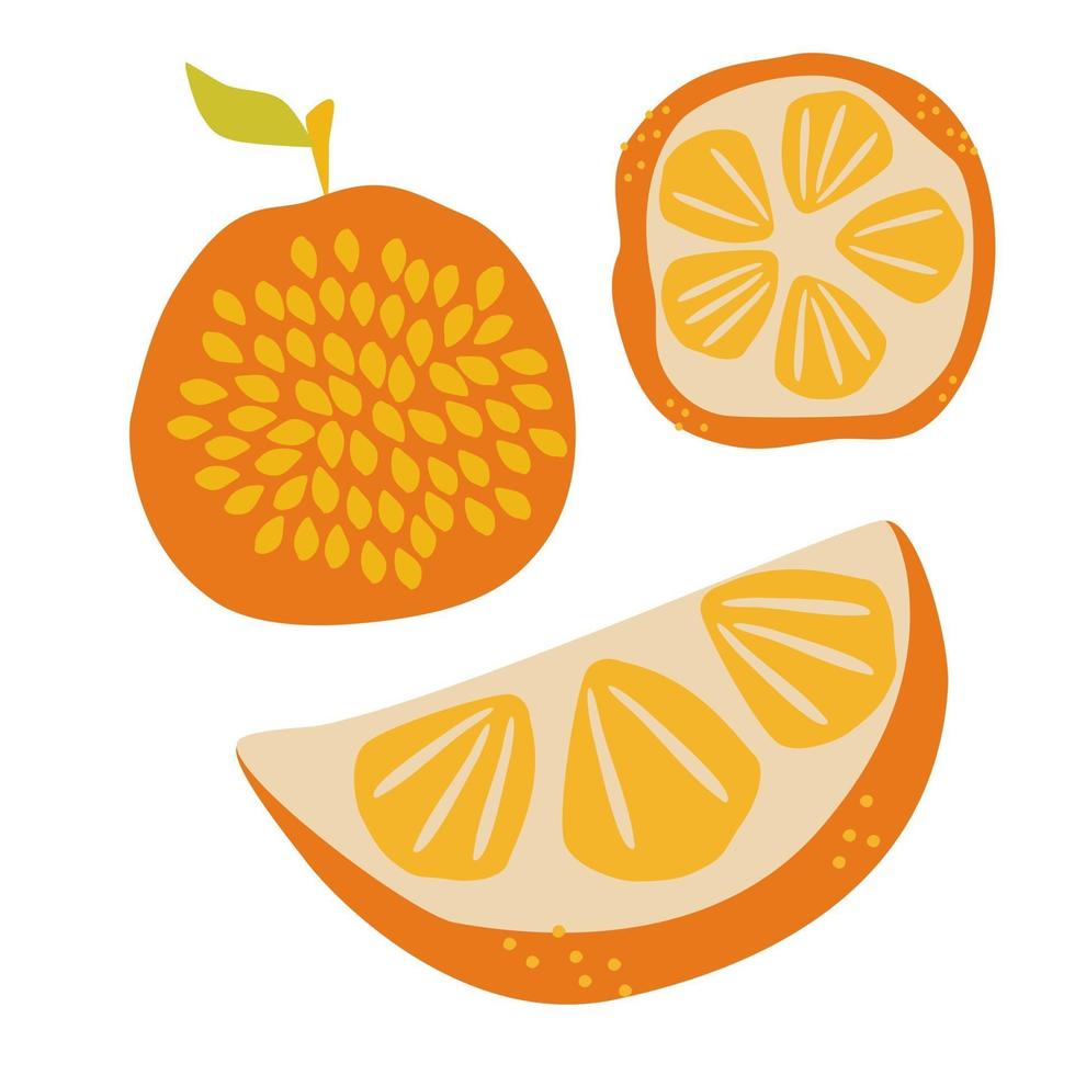 jugosa mitad naranja madura y fruta deliciosa entera con diseño de semillas para textiles etiquetas carteles vector mano dibujar ilustración aislada sobre fondo blanco