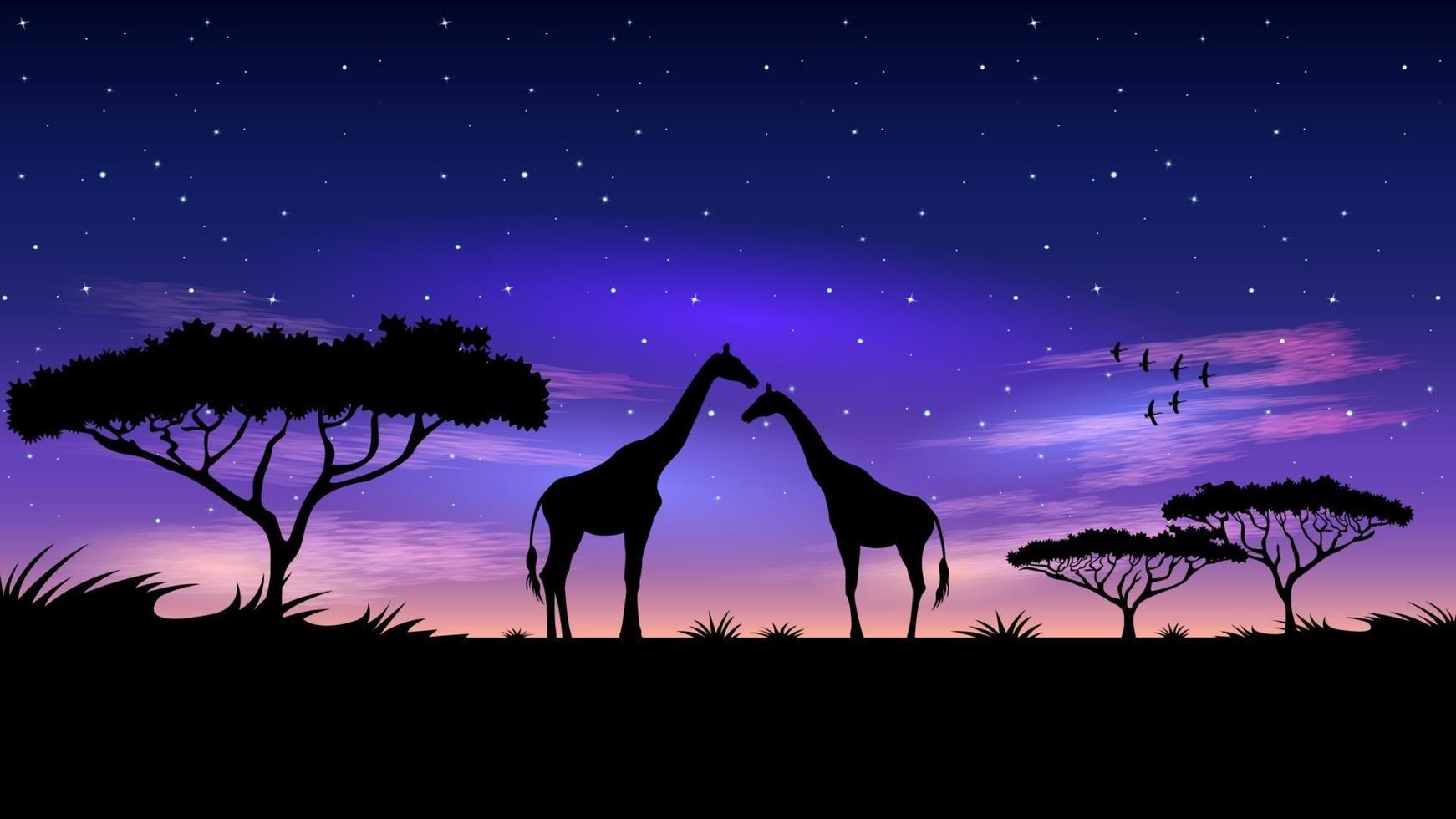 Africa at Night starry sky background vector